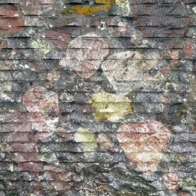 granit de roche de rivière